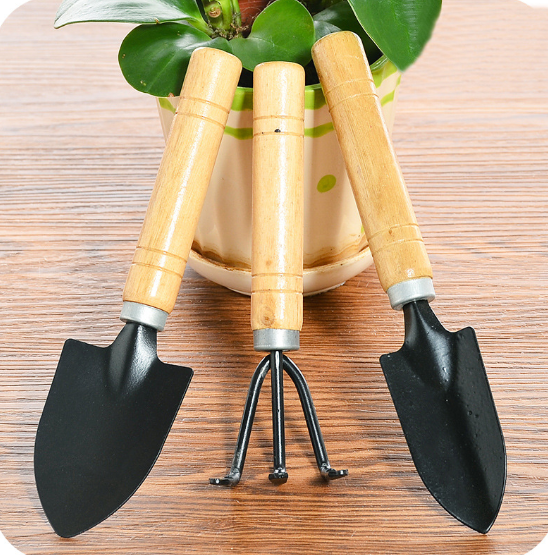 Set of mini tools for indoor plants (3 pcs.)