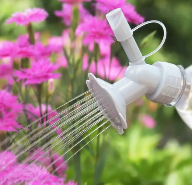 Bottle watering can with spout