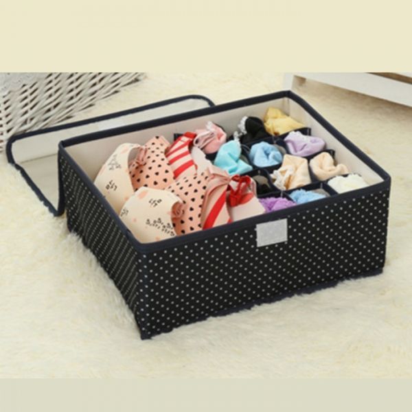 Underwear Organizer Blue 13 compartments