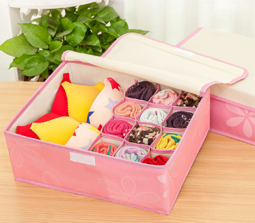 Underwear organizer Pink 13 cells