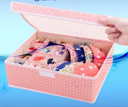 Underwear organizer Pink 13 cells