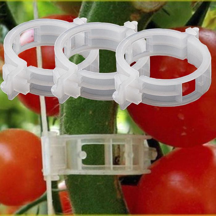 Plastic clips for garter plants, set of 50 pcs.