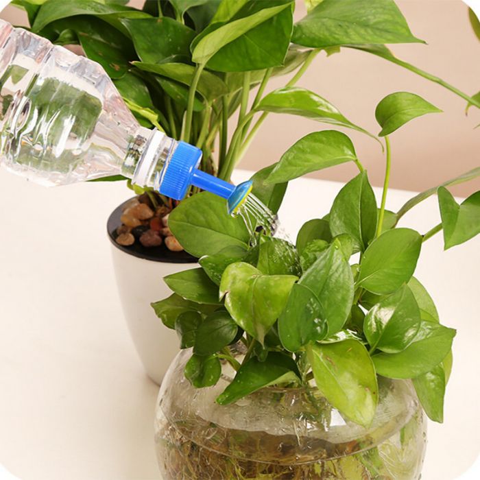 Plastic bottle cap for watering flowers