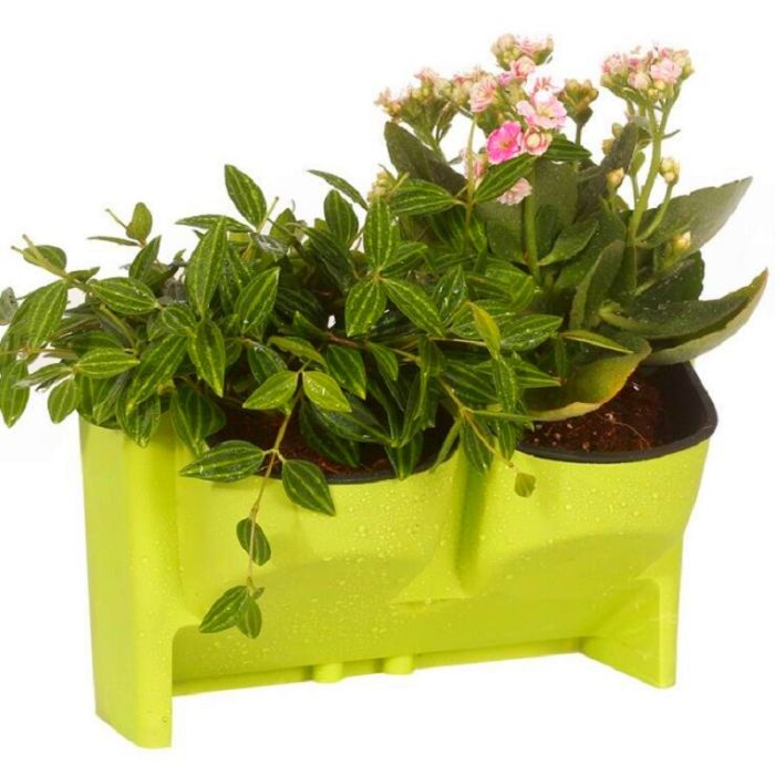 Wall trays for flowers and seedlings to create a living wall of plants