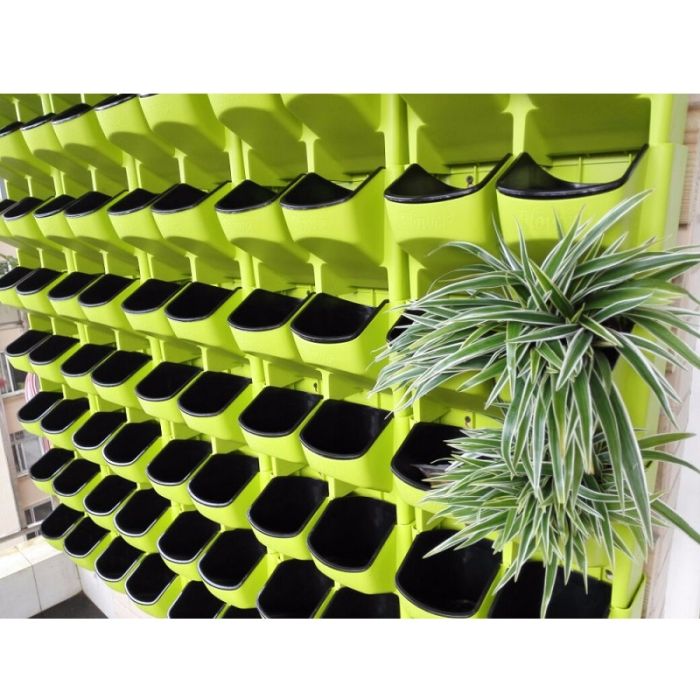 Wall trays for flowers and seedlings to create a living wall of plants