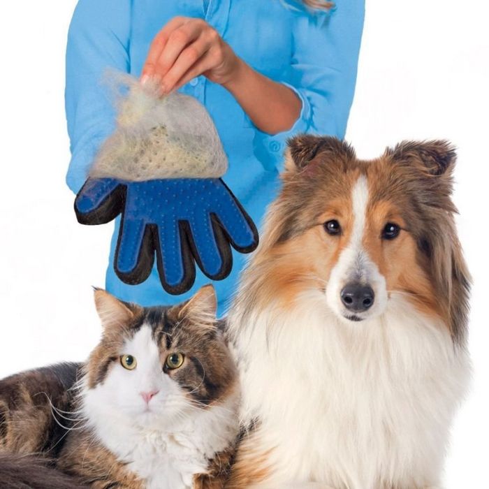 Pet combing glove with special coating